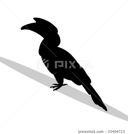 Hornbill bird black silhouette animal 33404723