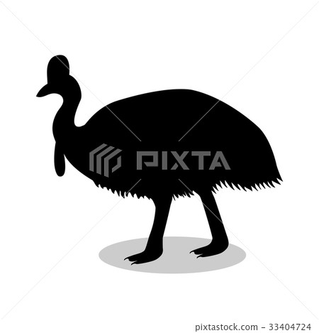 Cassowary bird black silhouette animal 33404724