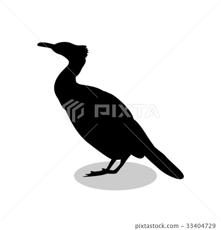 Cormorant bird black silhouette animal 33404729