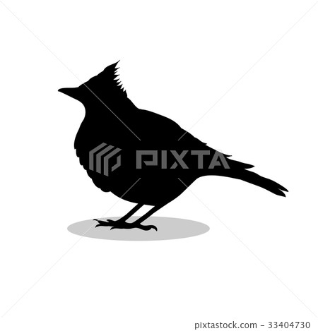Skylark lark bird black silhouette animal Skylark lark bird black silhouette animal 33404730