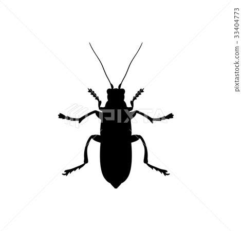 Beetle insect black silhouette animal 33404773