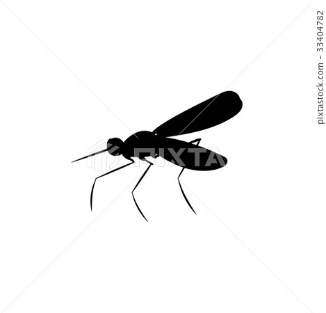 Mosquito insect black silhouette animal 33404782