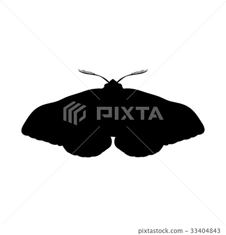 Moth insect black silhouette animal - Stock Illustration [33404843] - PIXTA