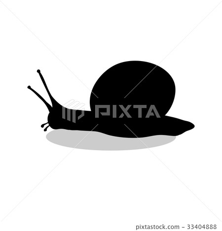 Snail mollusk shell black silhouette animal Snail mollusk shell black silhouette animal 33404888