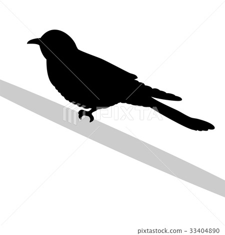 Cuckoo bird black silhouette animal Cuckoo bird black silhouette animal 33404890