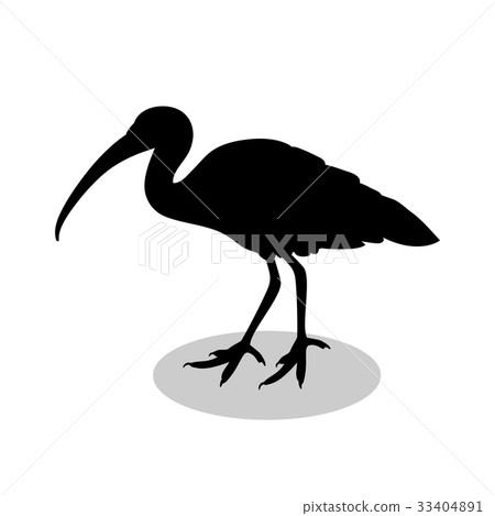 Ibis bird black silhouette animal Ibis bird black silhouette animal 33404891