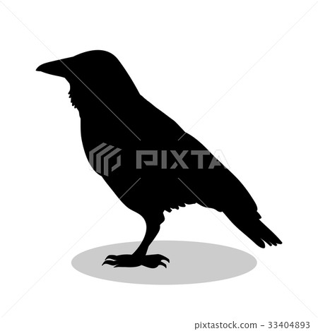 Raven bird  black silhouette animal 33404893