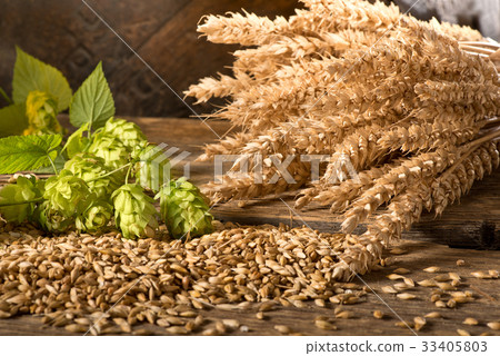Hop Cones with Barley and Wheat on the Table. 33405803