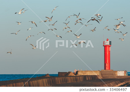 Seagulls against lighthouse Seagulls against lighthouse 33406497
