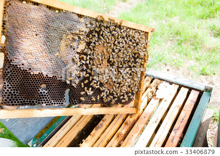 Open hive, beekeeping 33406879
