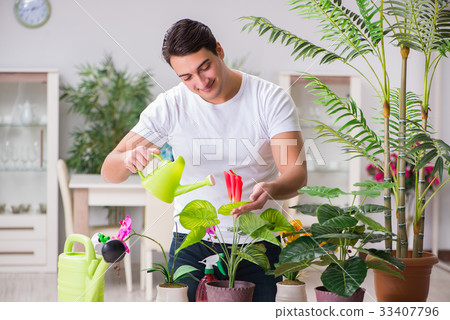 Young man in gardening concept at home 33407796