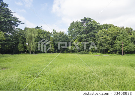 Grassy open space of Ekoda no Mori Park (Nakano-ku, Tokyo) 33408958