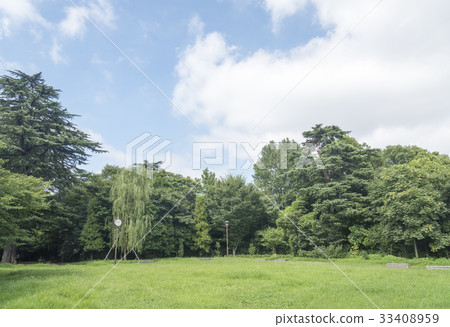 Grassy open space of Ekoda no Mori Park (Nakano-ku, Tokyo) 33408959