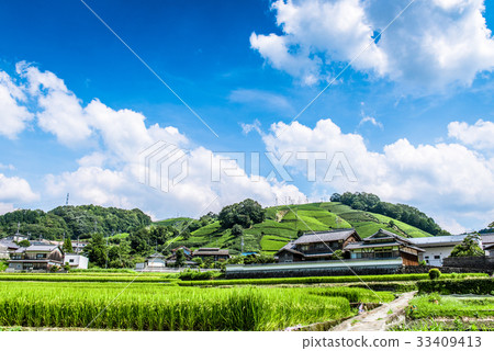 Ochabata Kyoto Wazucho Ochabata Kyoto Wazucho 33409413