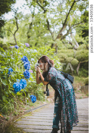 female, lady, woman 33409586