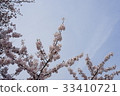 Sakura 2 33410721