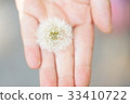 Dandelion 33410722