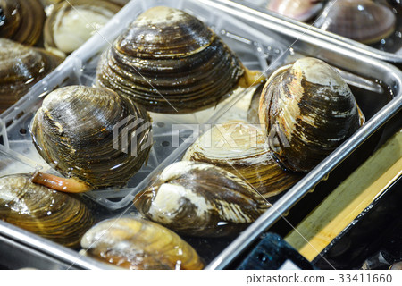 clam clam 33411660
