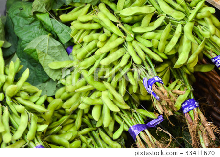 Edamame 33411670