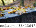 Autumn maple 33413647