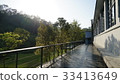 Xiangyang 33413649