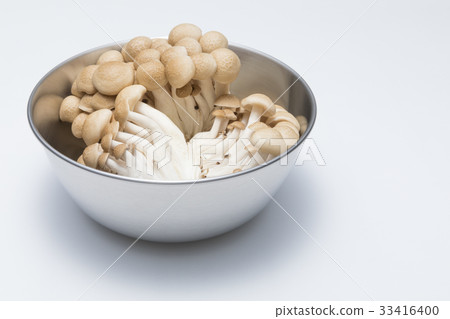 Shimeji in a bowl 33416400