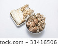 Various mushrooms 33416506