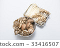 Various mushrooms 33416507