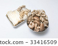 Various mushrooms 33416509