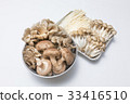 Various mushrooms 33416510