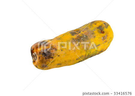 Rotten papaya isolate on white background Rotten papaya isolate on white background 33416576