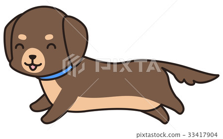 Running brown small dog (miniature dachshund) 33417904
