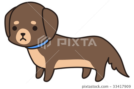 小棕狗（迷你臘腸犬） 33417909