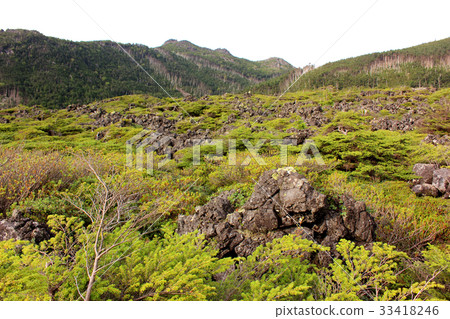 Tsuboniwa風景(4) Tsuboniwa風景(4) 33418246