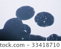 Frozen lake surface 33418710