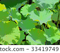Lotus leaf 33419749