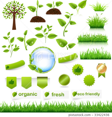 Green Eco Set 33422436