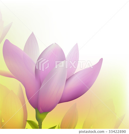 Abstract Magnolia Abstract Magnolia 33422890