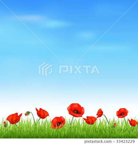 Landscape With Grass And Poppy 33423229