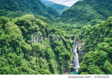 小布，布，陽光，桃園 33424283