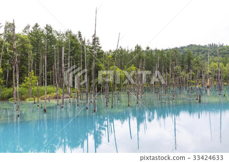 Blue Pond in Biei-cho, Hokkaido 33424633