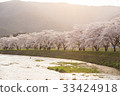 Cherry Blossom Sunrise River Cherry Blossom Sunrise River 33424918