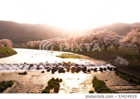 Spring  Sunrise 33424919