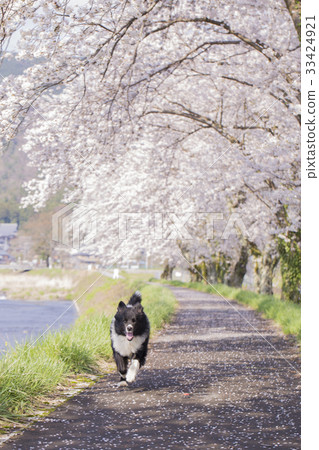 Best Moments  33424921