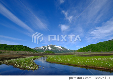 Melting water and mizuboshi of Oze 33425104