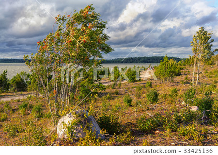Road of stones on the beach Road of stones on the beach 33425136