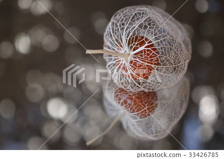  水印Hozuki 33426785