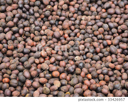 Dried coffee beans Dried coffee beans 33426957