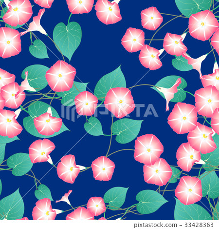Pink Morning Glory on Blue Indigo Background. 33428363