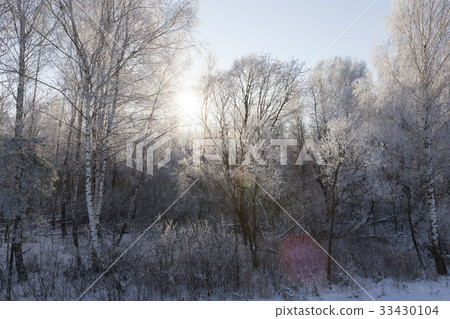 Winter landscape, close-up 33430104